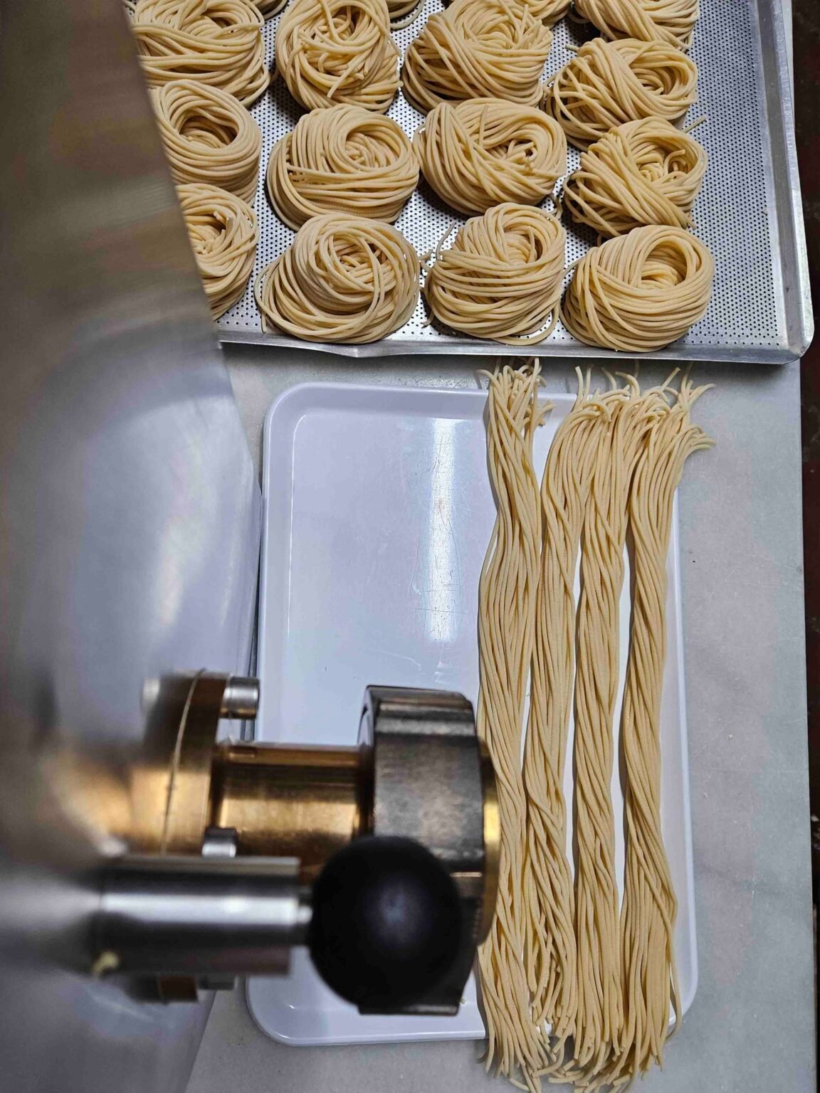 pasta fresca2